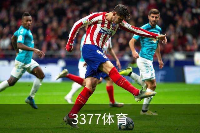 3377体育公司简介